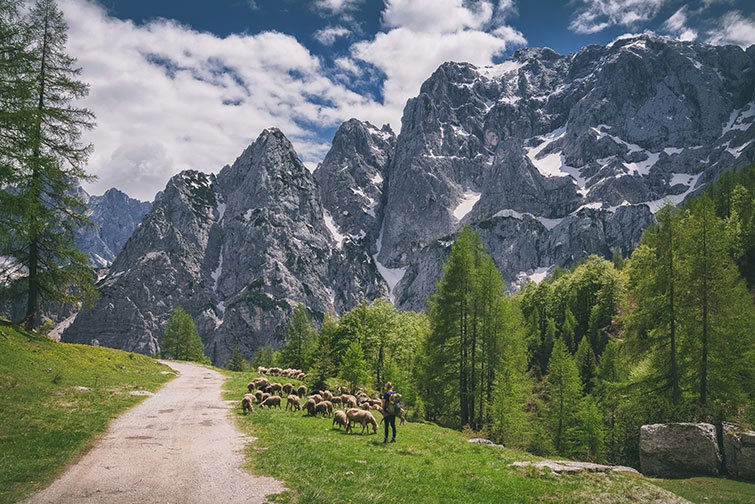 Triglav National Park