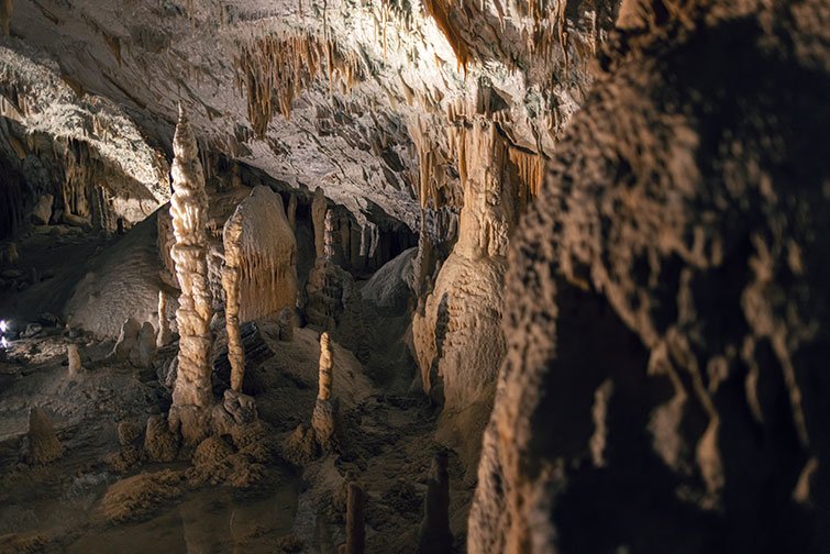The Postojna Cave Park